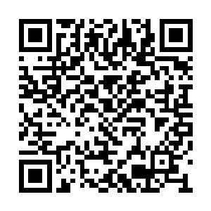 就远远看着……你们到了意大利第一步是做什么二维码生成