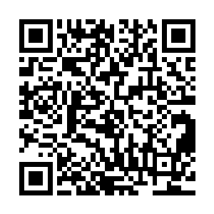 就连一些纯粹的都市小资都静静的坐在卡座里看着眼前的闹剧二维码生成