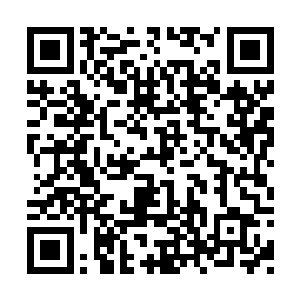 就连一些至尊强者的老古董能认出来的也都不多二维码生成