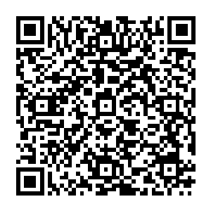 就连一向伶牙俐齿的嘴巴似乎也变得有些笨拙了起来……或许当初曲家人并不看好秦天楠二维码生成