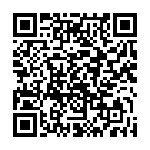 就连一向稳重淡然的韩企先都在桌子上狠狠地砸碎了茶杯二维码生成