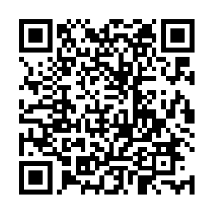 就连一旁的宋远怀也是面色古怪的看着自己这位小师叔二维码生成