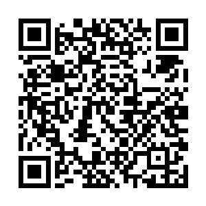 就连一直在后方观战的教练白色月牙也都闭上了眼睛二维码生成