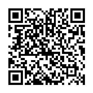 就连一直跟在花久久身边那个如同黏皮糖的服务员也飞奔了过去二维码生成