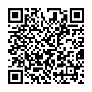 就连一直都坐在旁边装出一副若无其事样子的杀手17二维码生成