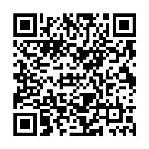 就连一直面无表情的草野富江也露出了满意的笑容二维码生成