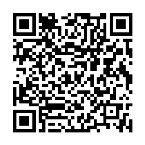 就连一部分避难所的屏障也开始有了被压碎的危险二维码生成