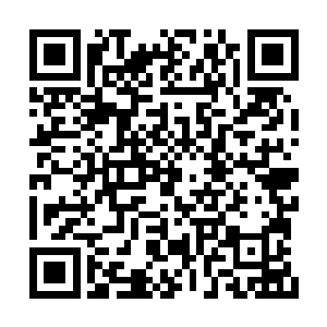 就连丁二狗也没有把握会将葛虎一定能绳之以法二维码生成