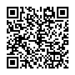 就连东方伏和龙丘佑都惊得不知道该怎么跟上她的脑回路了二维码生成