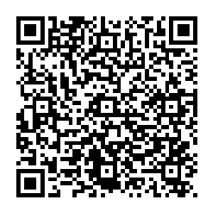 就连两位夺嫡的皇子都恨不得将九皇叔拉到自己阵营……居然有人直接说九皇叔命不久矣二维码生成