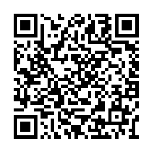 就连人和动物的死尸都能用作修炼黑冥掌的媒介二维码生成