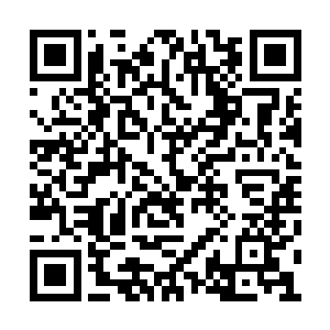 就连仅有的几件家具的棱角也被他用术法磨圆了二维码生成