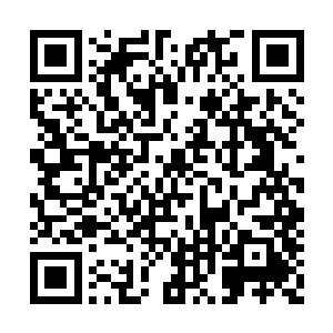 就连仍带着几分酒意的曹霑也是一下子精神不少二维码生成