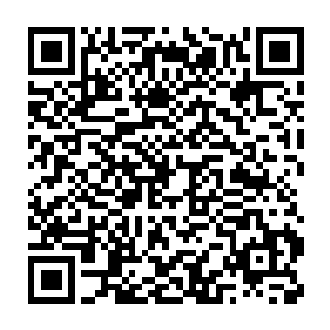 就连从洛尔城进进出出的商人以及佣兵有不少人发现了他们的存在二维码生成