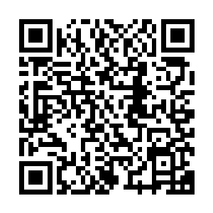 就连他也不可能不靠仪器就百分之百的找出真正的古董和宝物二维码生成