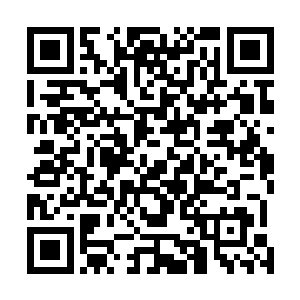 就连他们的联络官赵少尉也只是在每天十八点的晚餐时间二维码生成