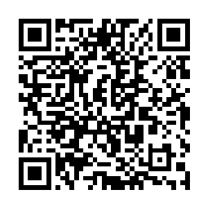 就连他身边的另外一名灰衣人也是站在那里一动不动二维码生成