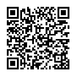 就连他都无法破解的黑瘴山的护罩在范筱梵面前不堪一击二维码生成