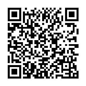 就连做过十多年这道菜的凌菲每每吃到这个菜都大呼过瘾二维码生成