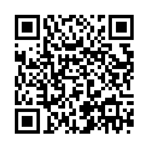 就连元素君主们也相互八卦了好几天二维码生成