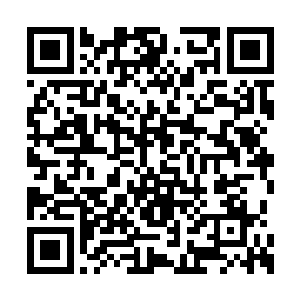 就连先天腐气的力量都直接肆无忌惮的爆发出来二维码生成