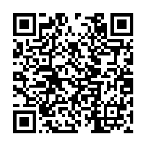 就连克伦科家族以及蓝天佣兵团的人也是同样如此二维码生成