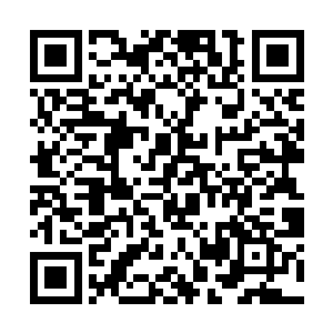 就连其他那九个家族的长老骑士们的气息也瞬间一粗二维码生成