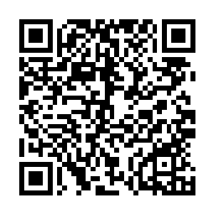 就连凤瑾元睡过的床榻都被她用厨下砍柴火的斧子给劈了开二维码生成