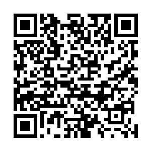 就连刚刚他挥出的那一剑也大多都是由精神力量凝聚而成二维码生成