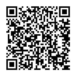 就连刚刚洗漱完毕的赵志航目睹了这一切后也忍不住鼓掌表示赞赏二维码生成