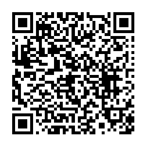 就连刚开始比较嚣张的阴石等人也都看向青衣人的目光中充满了恐惧二维码生成