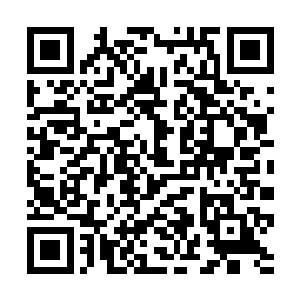 就连刚想扑向孙茂才的赵长枪都一动不动的站在那里二维码生成