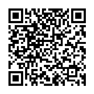 就连刚才白小鹿用手术钳从他的肋骨上拽出弹头时都没有哼半声二维码生成