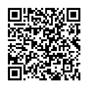 就连前几排的评委和音乐大师也都互相讨论了几句二维码生成