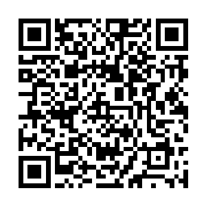 就连剩下那一部分也准备向剑尘出手的神王境死士二维码生成