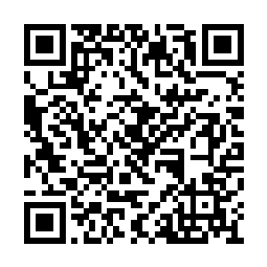 就连化魂期的伊伊和冰凰都要唐劫护着才能出入二维码生成