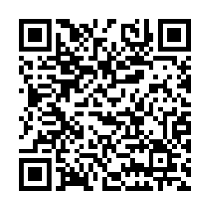 就连单纯的江小邪也在院子里围绕着树转了一晚上二维码生成