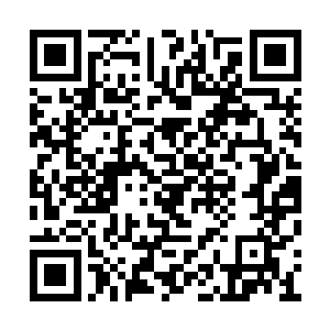 就连卢八娘这个对孩子的事很少直接插手管的人二维码生成