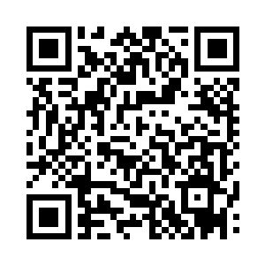 就连卢向东原先的方案里都没有这样的内容二维码生成