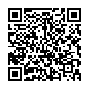 就连原本无法承受坤土宫中神土之气的不死吞天螂和吞天刀螂二维码生成