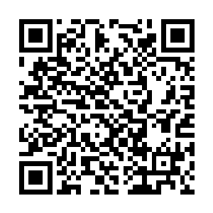 就连原本杀意十足的风清扬也是差点一口口水噎到二维码生成