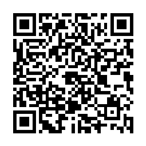 就连同楚天戈都已经被困在悲怆之音编织出来的幻境里二维码生成