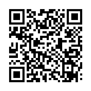 就连君无极和君小公子都好奇得看了金大爷二维码生成