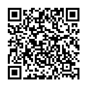 就连周伟和端木回和铁柱这一次都是充当着男方的亲人二维码生成