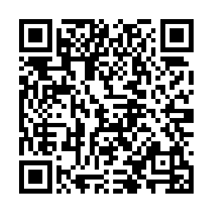 就连和这辆车一样牌子的车也没有在这个地方出现二维码生成