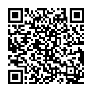 就连唐劫自己都觉得自己这唐劫的劫不是劫数的劫而是洗劫的劫二维码生成