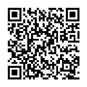 就连国际创新管理公司都没有花费太大力气在他们身上二维码生成