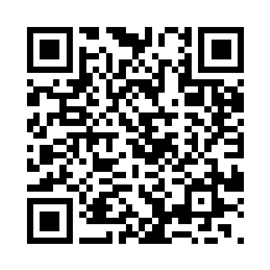 就连圣宗操控的武魂之心上也没有显示二维码生成