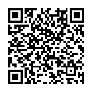 就连在野外遇到的飞快的逃跑的野鸡什么的很少能跑掉二维码生成
