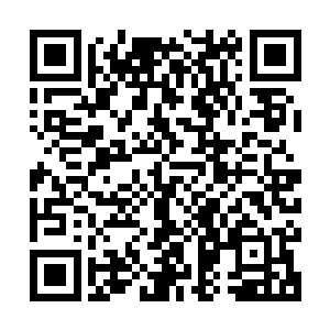 就连在首映式上雨果都依旧躲避了关于电影关于角色的所有言论二维码生成